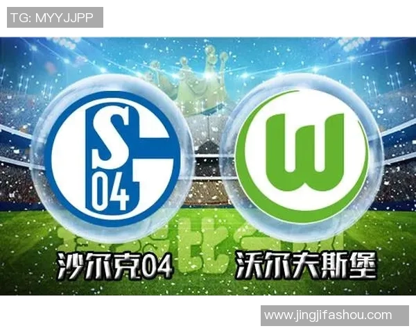 沙尔克04客场硬战险胜沃尔夫斯堡吞下失利苦果 沙尔克04客场硬战险胜沃尔夫斯堡吞下失利苦果