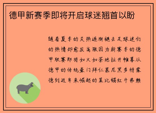 德甲新赛季即将开启球迷翘首以盼